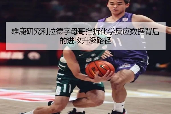 雄鹿研究利拉德字母哥挡拆化学反应数据背后的进攻升级路径